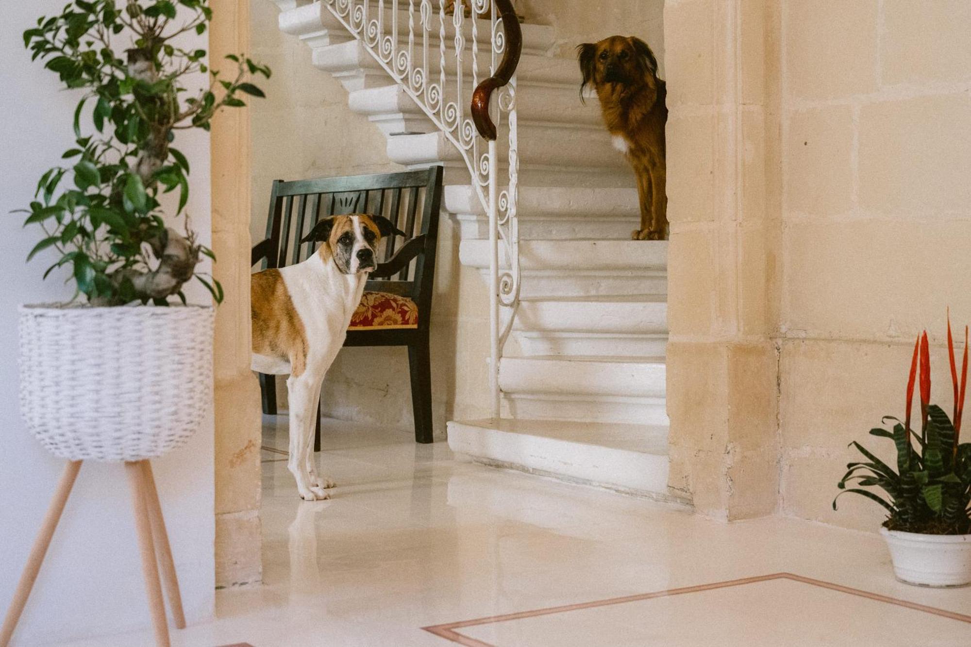 Tinja Bnb Σλιέμα Εξωτερικό φωτογραφία
